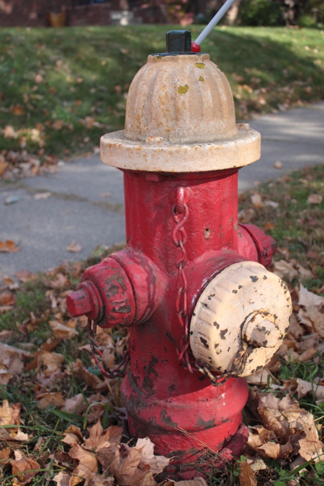 This old hydrant at the corner of Cleveland and Dayton Avenues is likely from the mid-1940s.