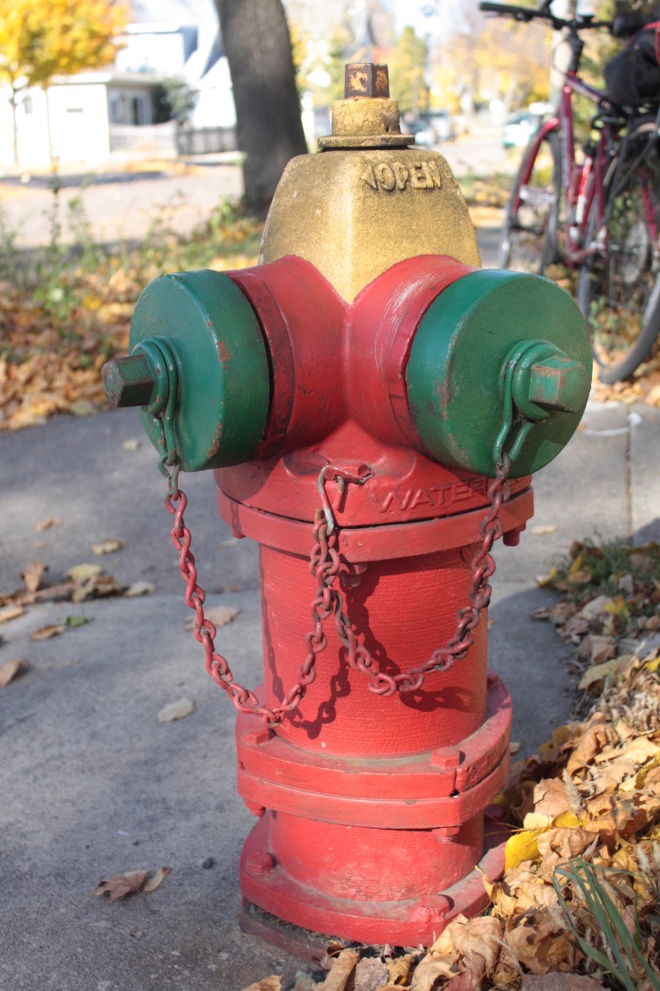 This higher capacity hydrant is located at Oxford Street and Front Avenue, where there are stores and businesses on all four corners.