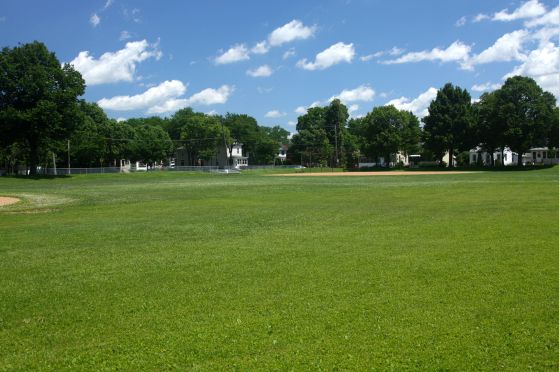 The fields at Palace Rec Center.