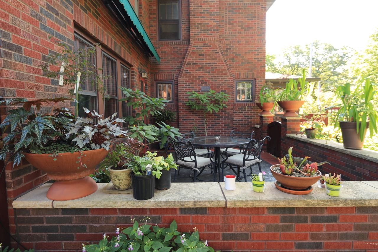 Planters with many varieties of foliage decorate the patio.